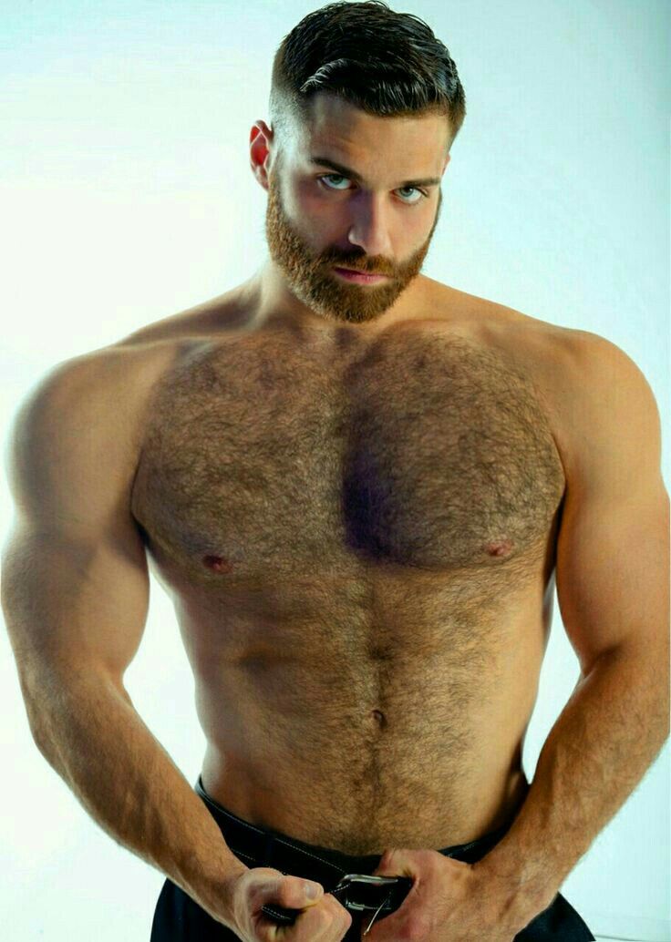Gay hairy muscle bear men sex