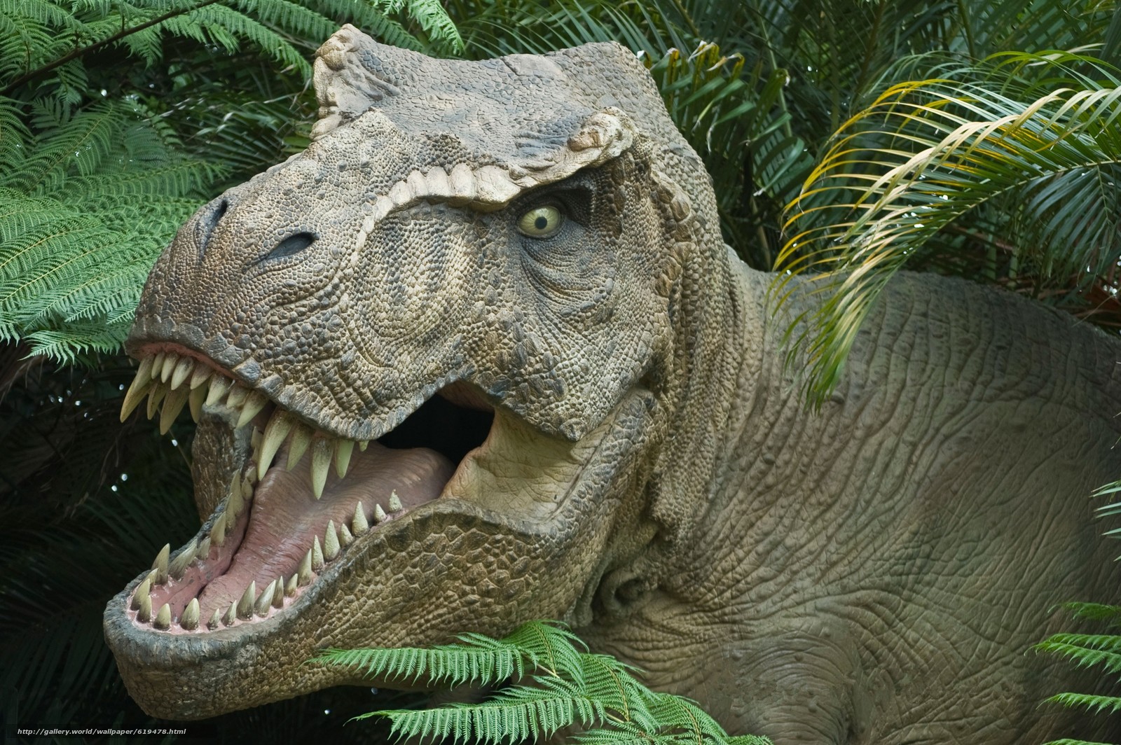 Dinosaurs from jurassic park t rex